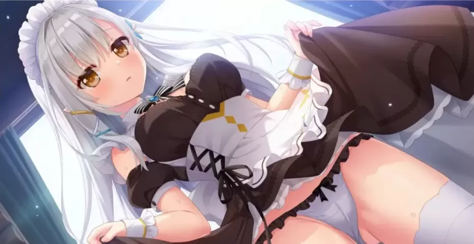 图片[4]-[PC][大型ADV/精翻/CV]梦幻的提尔纳诺 精翻汉化版+全CG存档[5.1G]-星源论坛