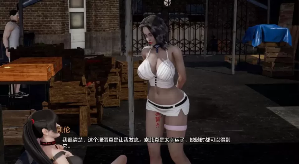 图片[4]-【 项目：S.P.E.S 】-v0.11
汉化版-星源论坛