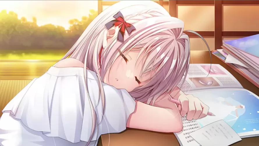 图片[2]-流星+FD 】
官中汉化版+存档+外传-星源论坛