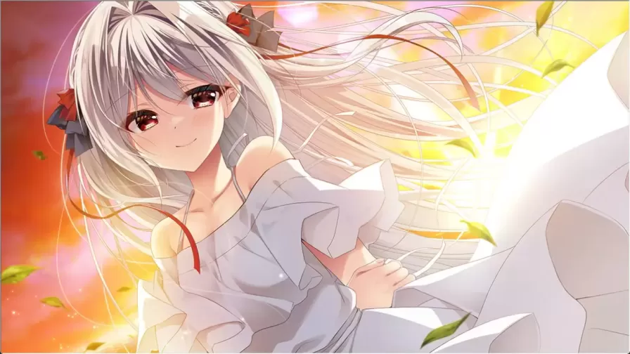 图片[8]-流星+FD 】
官中汉化版+存档+外传-星源论坛