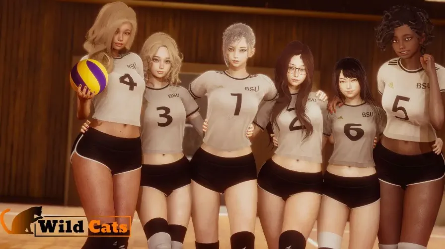 【 野猫 】-v0.3.0
官中汉化版+画廊解锁